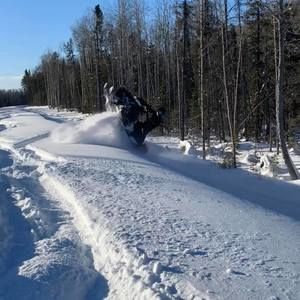 Meet your Posher, Mikey